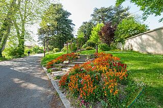 Un parterre de fleurs aux couleurs orangées bordant une route. - Agrandir l'image, .JPG 157 Ko (fenêtre modale)