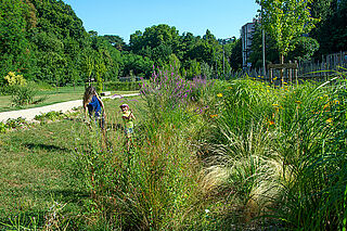 Une maman et son enfant se promènent dans les hautes herbes du parc. - Agrandir l'image, .JPG 737 Ko (fenêtre modale)