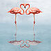Afficher l'image 8 sur 23