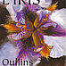Afficher l'image 7 sur 31